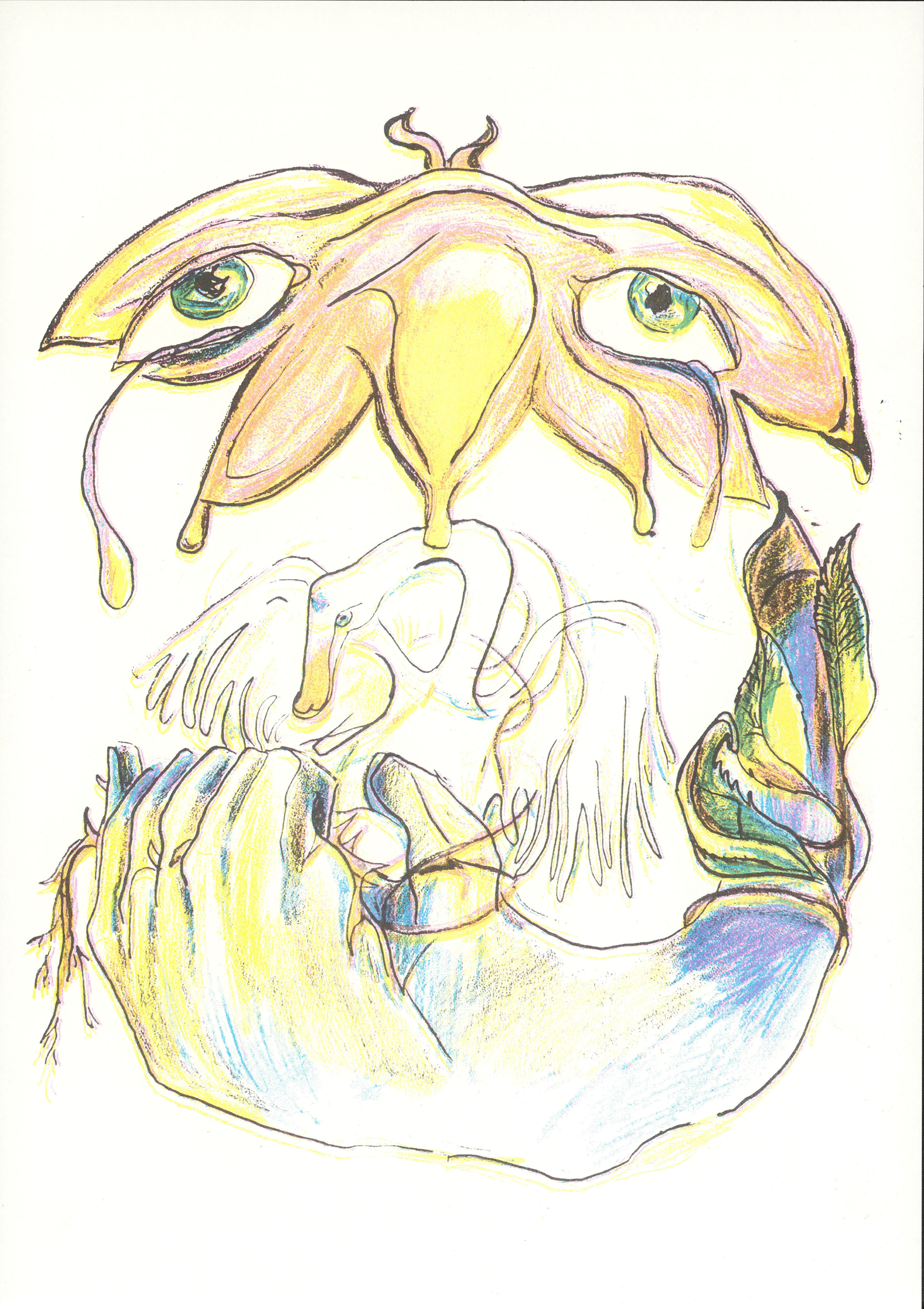 06